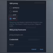 В Telegram готовят WEB-прокси для маскировки трафика под обычный HTTPS 2 Настройки прокси в Telegram с выбором WEB-прокси