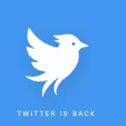 Логотип Twitter на синем фоне с птицей и надписью Twitter is back