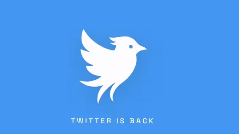 X подала в суд на стартап Operation Bluebird из-за попытки вернуть бренд Twitter