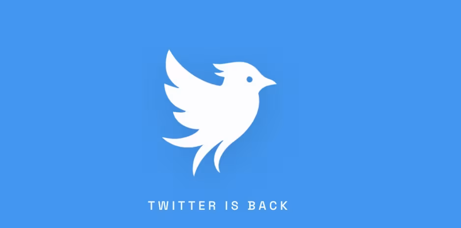 X подала в суд на стартап Operation Bluebird из-за попытки вернуть бренд Twitter