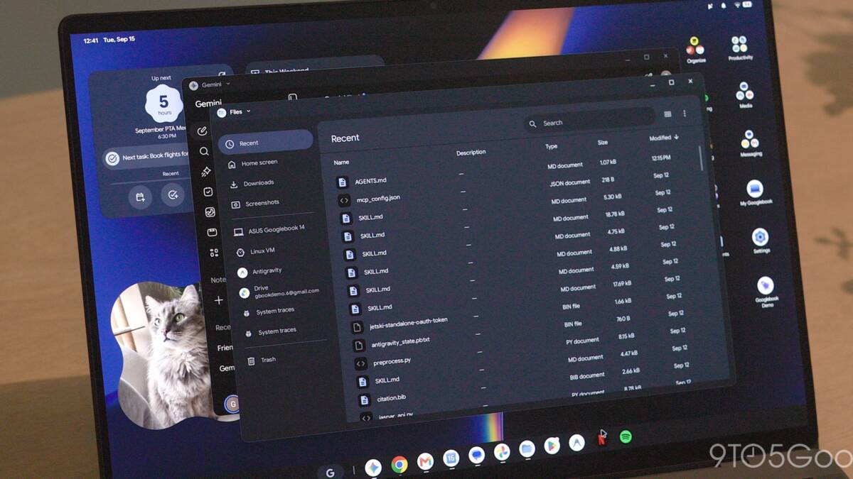 Два открытых окна на ноутбуке с Linux и файлами
