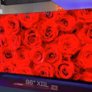 ТЕЛЕВИЗОР TCL X11L SQD Mini LED с красными розами