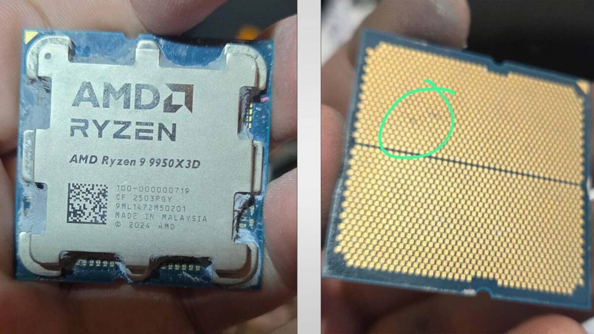 Материнская плата Asus лишила Ryzen 9 9950X3D и Ryzen 5 8500G загрузки