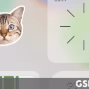 Nothing OS 5.0 на Android 17 вышла в бете ещё для 3 смартфонов 2 Иконка кота и загрузочный экран Nothing OS 5.0 на Android 17