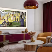 Телевизоры TCL Designer Series с матовыми экранами и креплением вплотную к стене стоят от $899 1 Гостиная с телевизором TCL Designer Series кустарники на столе