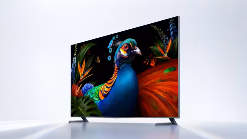 Современный телевизор Xiaomi с изображением яркой птицы