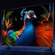 Xiaomi выпустила первые RGB-Mini LED-телевизоры с 4860 зонами подсветки 2 Тонкий телевизор Xiaomi с ярким изображением и изображением попугая