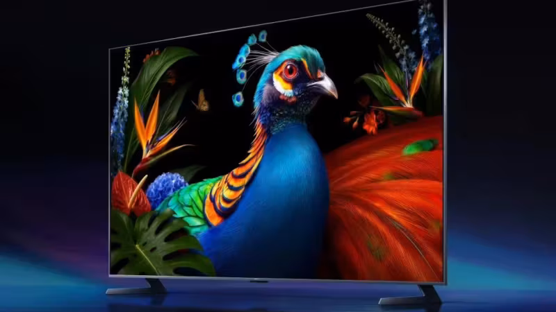 Тонкий телевизор Xiaomi с ярким изображением и изображением попугая