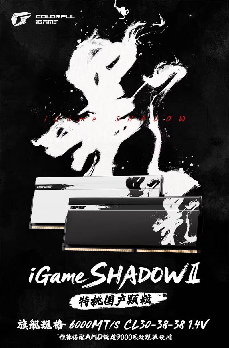Память DDR5 iGame Shadow 1 с черным и белым дизайном