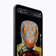 iPad mini (2026) Π² Geekbench ΠΎΠ±ΠΎΡΡΠ» iPad Pro Π½Π° 8% Π² ΠΎΠ΄Π½ΠΎΡΠ΄Π΅ΡΠ½ΠΎΠΌ ΡΠ΅ΡΡΠ΅ 24 iPad mini (2026) Π² Geekbench ΠΎΠ±ΠΎΡΡΠ» iPad Pro Π½Π° 8% Π² ΠΎΠ΄Π½ΠΎΡΠ΄Π΅ΡΠ½ΠΎΠΌ ΡΠ΅ΡΡΠ΅