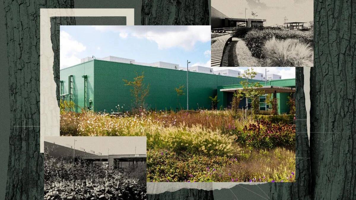 Фотография закреплённых растений и деревьев у ЦОД Microsoft