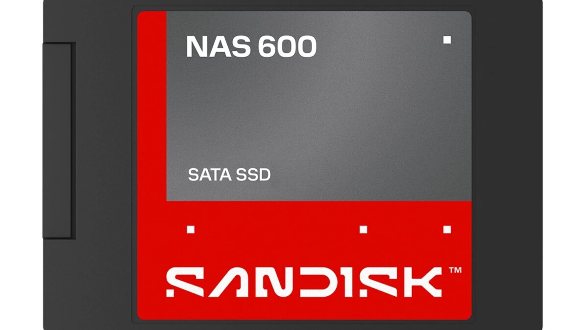 SSD диск SanDisk NAS 600 для сети хранения данных